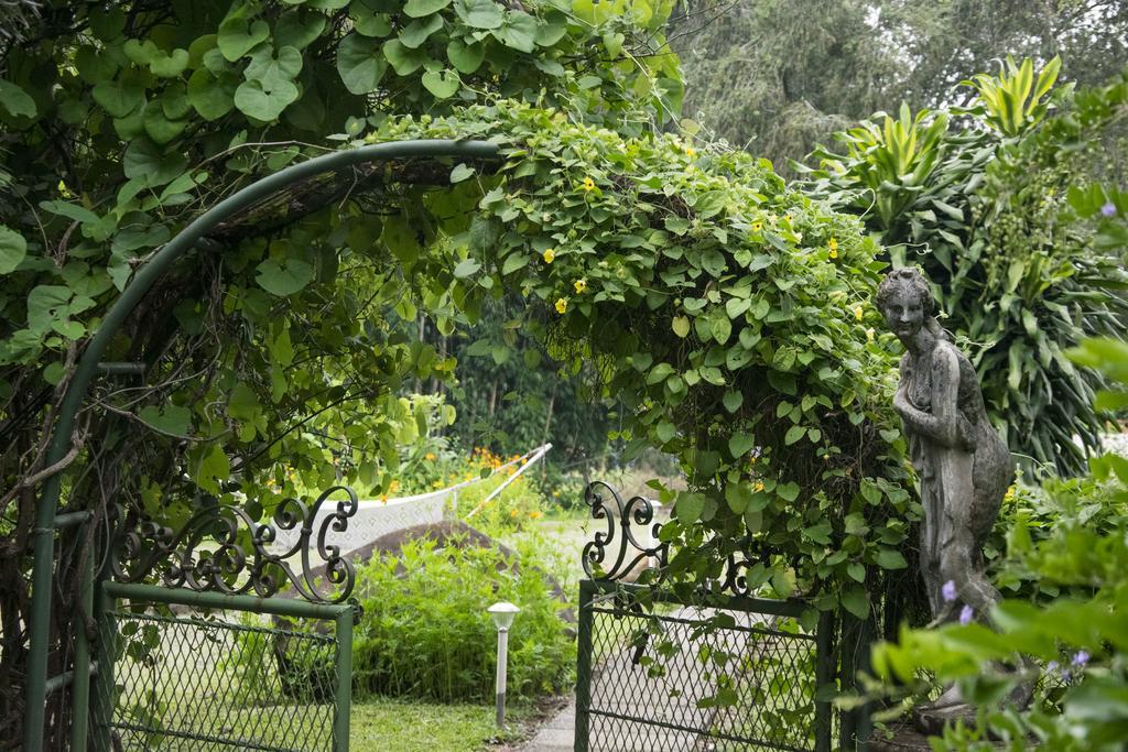 Villa Margarita Animas  外观 照片