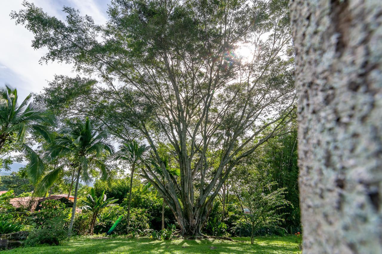 Villa Margarita Animas  外观 照片